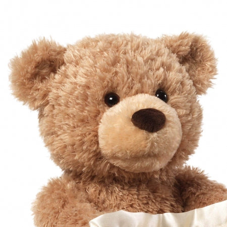 Peekaboo Teddy Bear 🧸